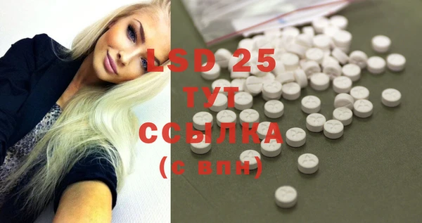 PSILOCYBIN Бородино