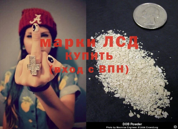 PSILOCYBIN Бородино