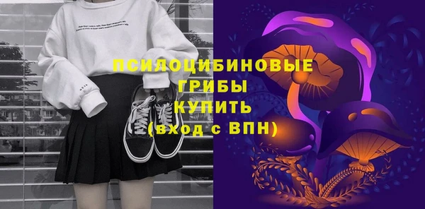 PSILOCYBIN Бородино