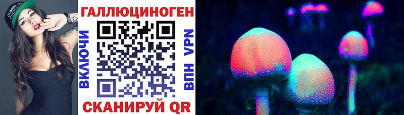 купить наркотик Дорогобуж Псилоцибиновые грибы Psilocybe