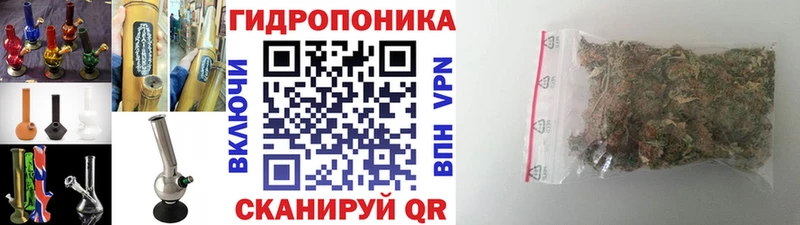 Бошки марихуана сатива  кракен как войти  Дорогобуж 